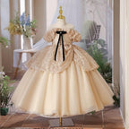 Banquet high-end party evening dress performance wedding girl princess dress