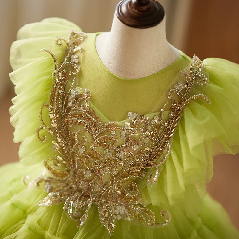 Embroidered tulle dress, long dress for girls, princess dress for girls aged 3-12, ball gown
