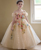 Champagne Flower Girl Dress | 3D Floral Applique Ball Gown | Sparkly Tulle Birthday Pageant Dress | Toddler Wedding Party Gown