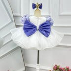 Butterfly Princess Dress for Kids Birthday Party & Flower Girl | KLFFIGID
