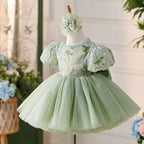 Fairy Green Puff Sleeve Embroidered Princess Dress | KLFFIGID