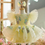 Embroidered Flower Fluffy Birthday Party Princess Dress | KLFFIGID