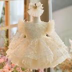 Girls Long Sleeve Butterfly Glitter Christmas Evening Dress | KLIFFIGID