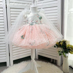 Embroidered Puffy Mesh Tutu Party Dress for Girls Princess | KLFFIGID