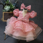 Baby Girl Puff Sleeve Sequin Lace Tulle Dress Birthday Party Wedding Princess | KLFFLGID