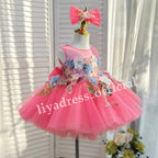 3D Floral Embroidered Birthday Party Wedding Pageant Princess dress | KLFFLGID