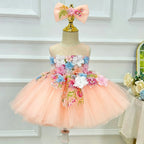 3D Floral Embroidered Birthday Party Wedding Pageant Princess dress | KLFFLGID