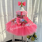 3D Floral Embroidered Birthday Party Wedding Pageant Princess dress | KLFFLGID
