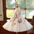 3D Floral Embroidered Birthday Party Wedding Pageant Princess dress | KLFFLGID