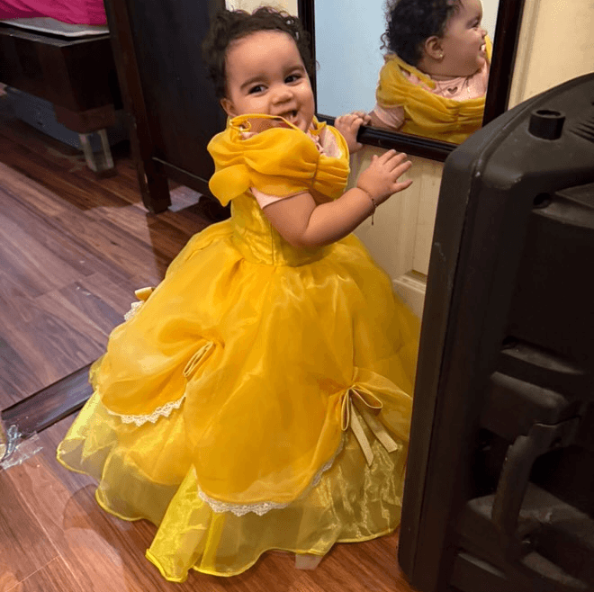 Baby Girl Puff Sleeve Ball Dress Flower Sash Birthday Party Princess Costume | KLFFLGID