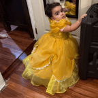 Baby Girl Puff Sleeve Ball Dress Flower Sash Birthday Party Princess Costume | KLFFLGID