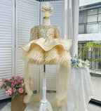 Champagne sparkly princess dress for girls with sequin bodice and layered tulle skirt front view