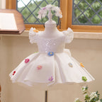 White girls princess dress with sequin bodice, ruffle sleeves and colorful floral appliques