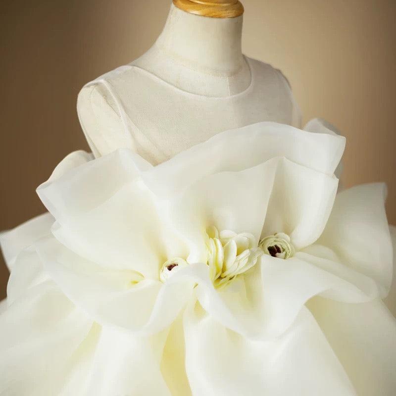 Chiffon Puff Sleeve Ruffle Princess Birthday Party Dress | KLFFLGID
