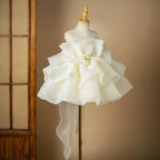 Chiffon Puff Sleeve Ruffle Princess Birthday Party Dress | KLFFLGID