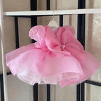 Baby Girl Chiffon Puff Sleeve Ruffle Princess Dress | KLFFLGID