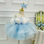 Sky Blue Sequin 3D Rose Tulle Princess Birthday Party Dress | KLFFLGID